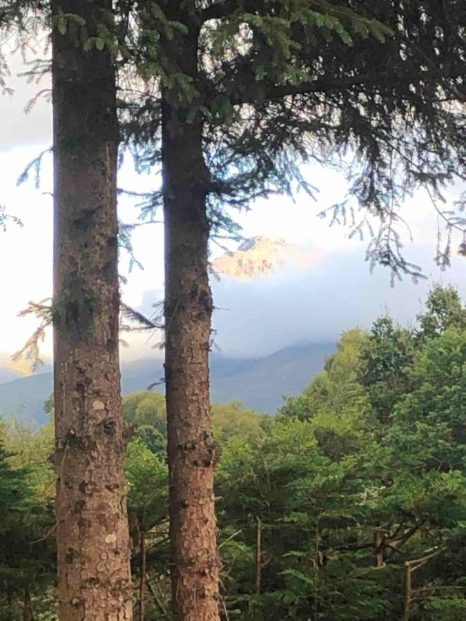 Tom Beag - Ben Nevis View Rooms Fort William Exterior foto