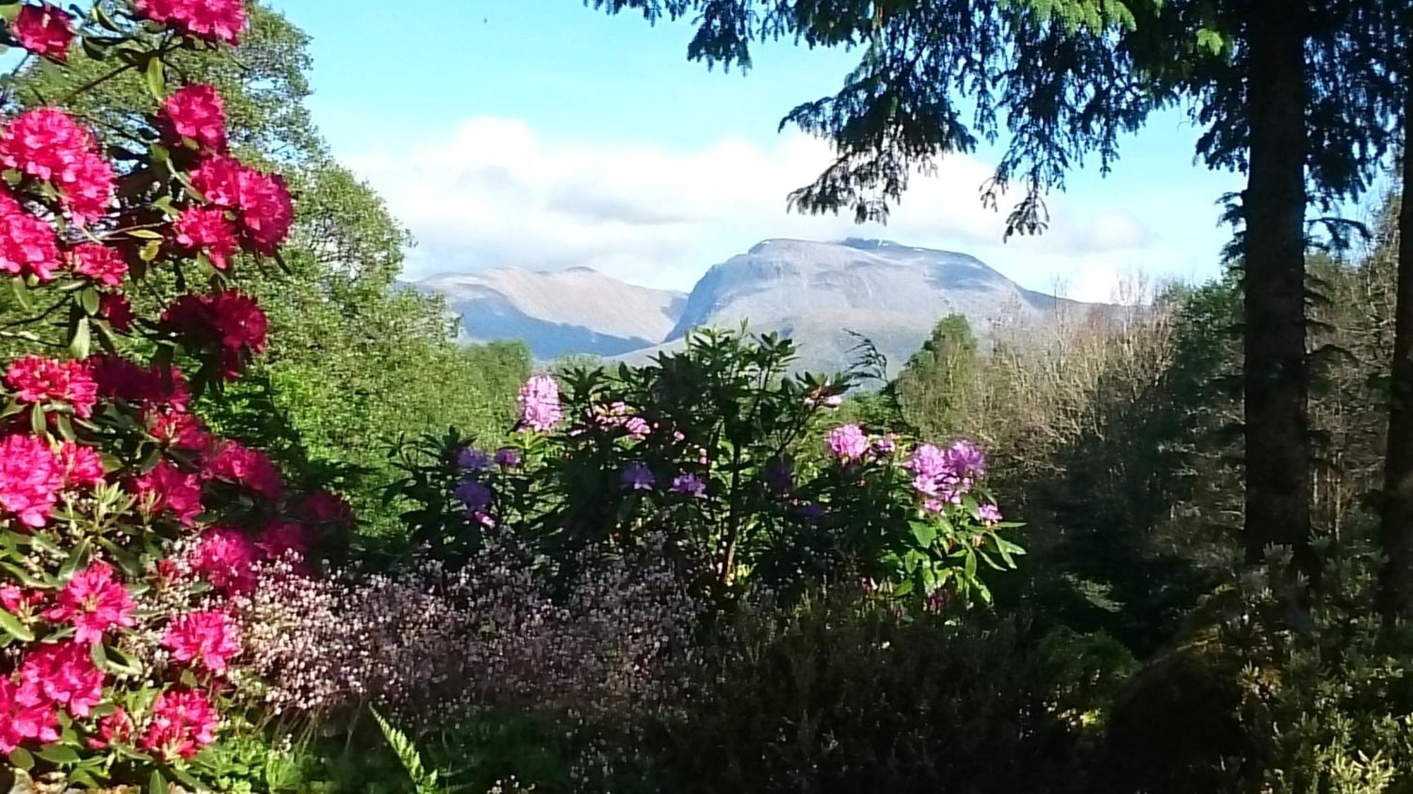 Tom Beag - Ben Nevis View Rooms Fort William Exterior foto